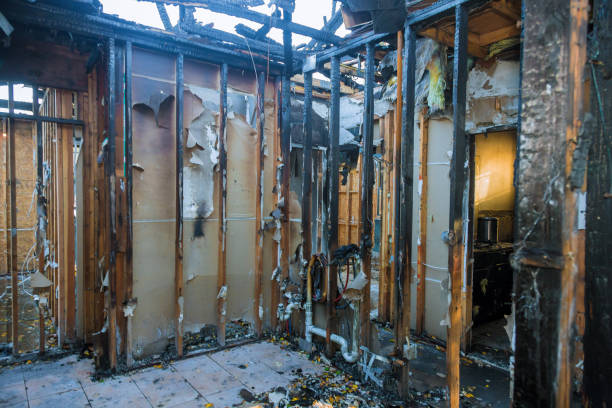 Professional Fire Damage Removal technician working in Jones Creek, TX
